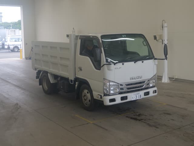 CANTER — Auction (lot vt-8-6558-1246)