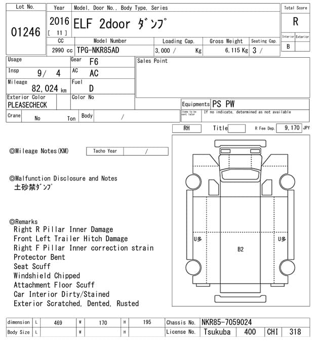 CANTER — Auction (lot vt-8-6558-1246)