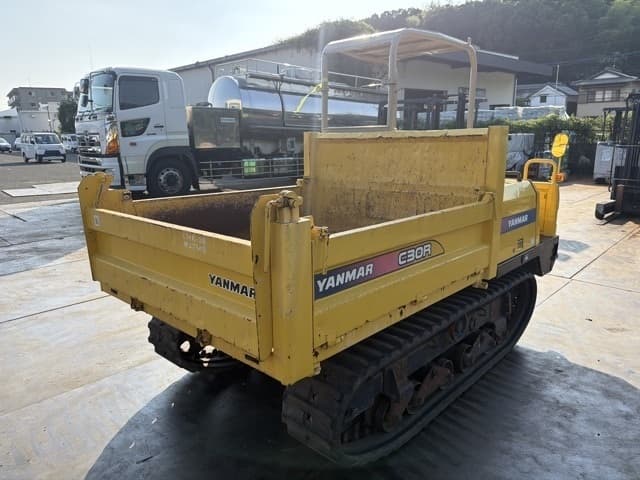 CRAWLER DUMP — Auction (lot 8456-20018)