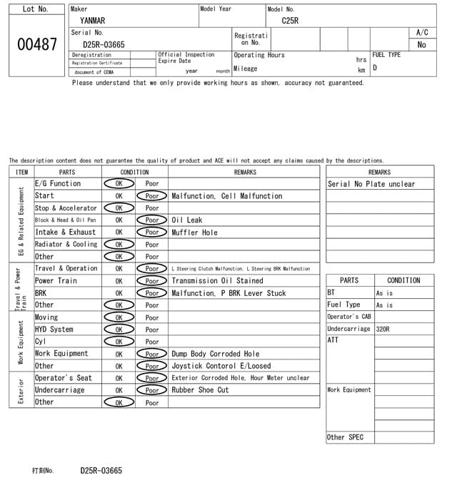 CRAWLER DUMP — Auction (lot 8457-487)