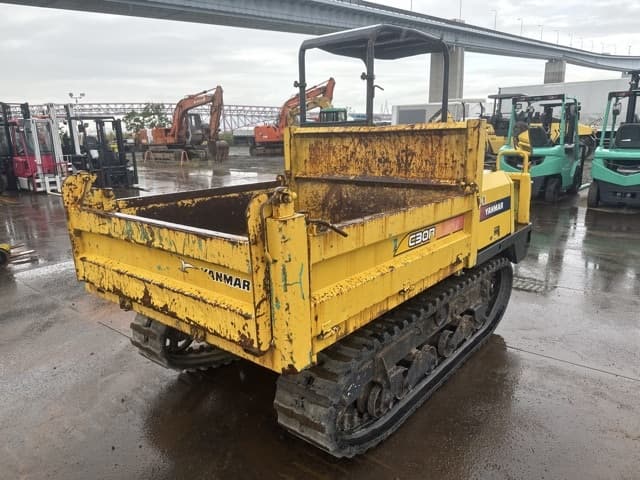 CRAWLER DUMP — Auction (lot 8460-10006)