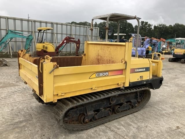 CRAWLER DUMP — Auction (lot 8460-389)