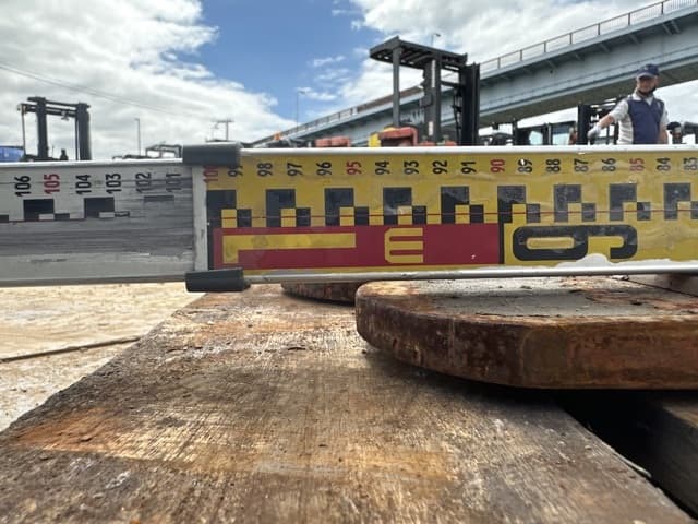 FORKLIFT NAIL — Auction (lot 8461-16583)