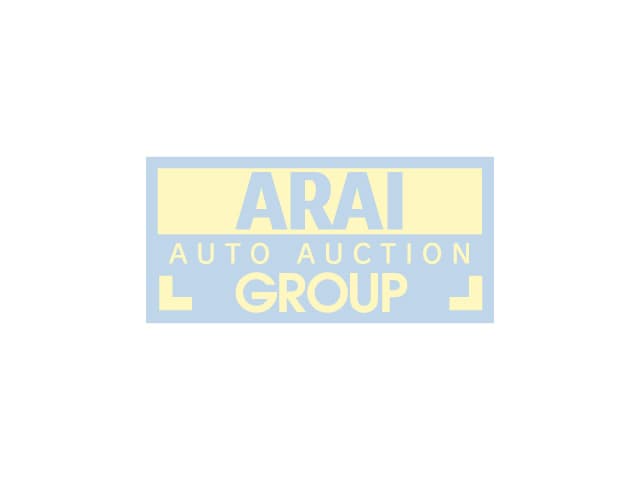 EXCAVATOR — Auction (lot 8461-206)