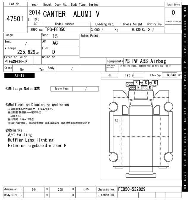 CANTER — Auction (lot vt-8-6565-47501)